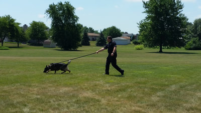Officer Adams demonstrates K-9 Match's incredible sniff and find skills after the parade.